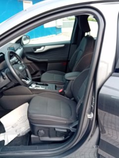 FORD Kuga phev Connect 2wd Automatica