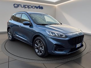 FORD Kuga ecoblue ST-Line 2wd Automatica