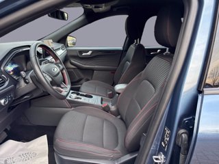FORD Kuga ecoblue ST-Line 2wd Automatica