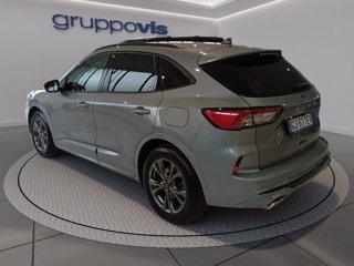 FORD Kuga ecoblue ST-Line X 2wd Automatica