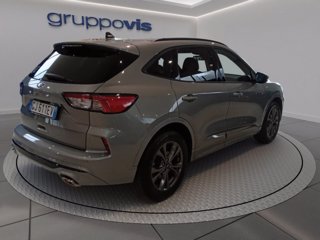 FORD Kuga ecoblue ST-Line X 2wd Automatica