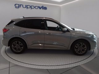 FORD Kuga ecoblue ST-Line X 2wd Automatica