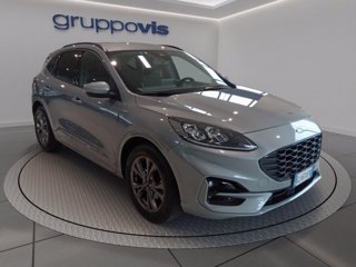 FORD Kuga ecoblue ST-Line X 2wd Automatica