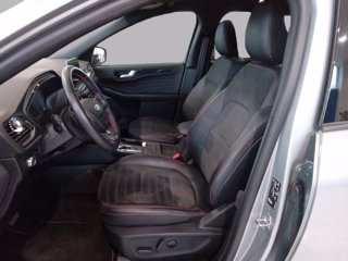 FORD Kuga ecoblue ST-Line X 2wd Automatica