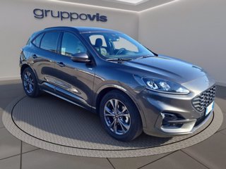 FORD Kuga full hybrid ST-Line 2wd Automatica