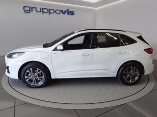 FORD Kuga phev ST-Line X 2wd Automatica