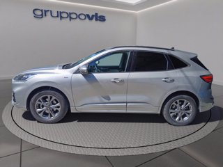 FORD Kuga full hybrid ST-Line 2wd Automatica