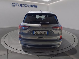 FORD Kuga full hybrid ST-Line 2wd Automatica