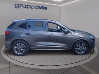FORD Kuga ecoblue ST-Line X 2wd Automatica