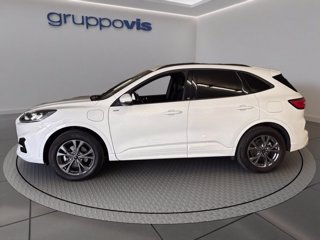 FORD Kuga phev ST-Line X 2wd Automatica