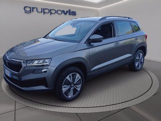 SKODA Karoq tdi evo Executive dsg